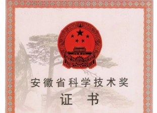 榮譽(yù) | 科達(dá)新銘豐、安徽科達(dá)潔能榮獲省級(jí)科技進(jìn)步獎(jiǎng)！